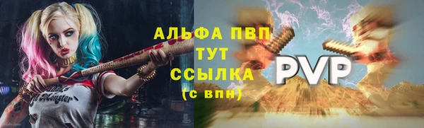 тгк Каменногорск