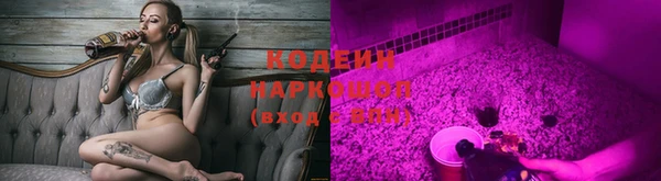 тгк Каменногорск