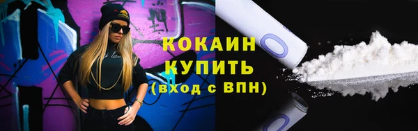 тгк Каменногорск