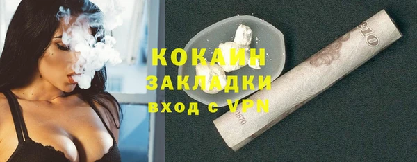 тгк Каменногорск